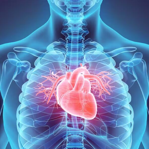 Immagine per Cardiologia