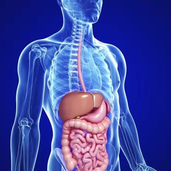 Immagine per Gastroenterologia