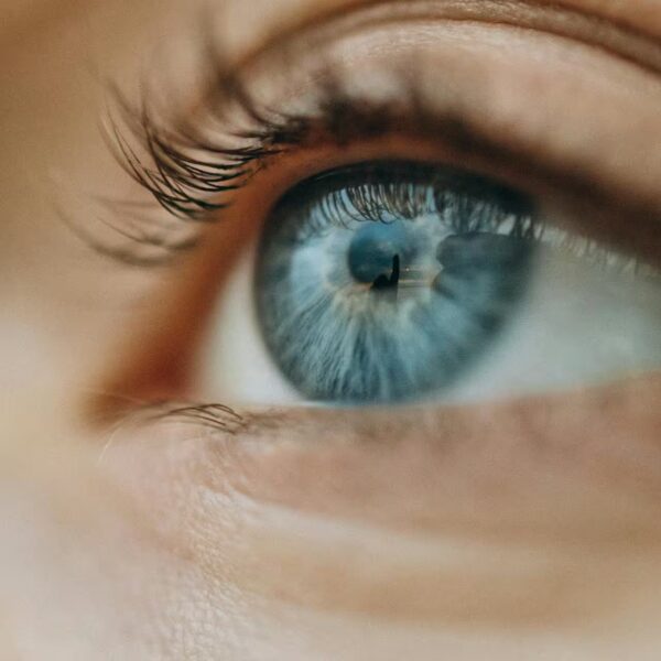 Immagine per Oculistica